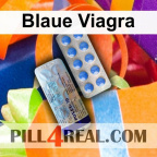 Blaue Viagra 089
