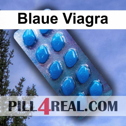 Blaue Viagra 278