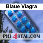 Blaue Viagra 278