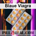 Blaue Viagra 914