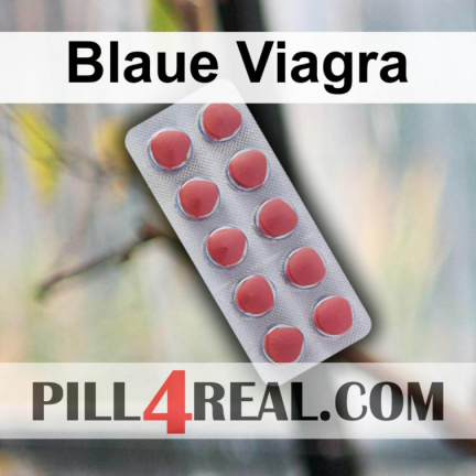 Blaue Viagra 951