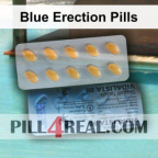 Blue Erection Pills 194
