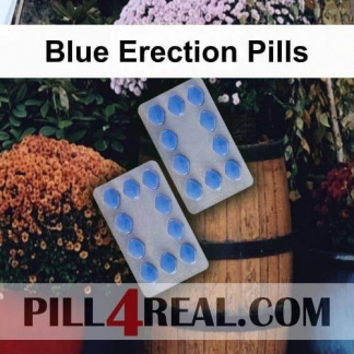 Blue Erection Pills 423