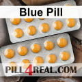 Blue Pill 482