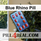 Blue Rhino Pill 023