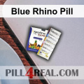 Blue Rhino Pill 260
