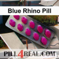 Blue Rhino Pill 310