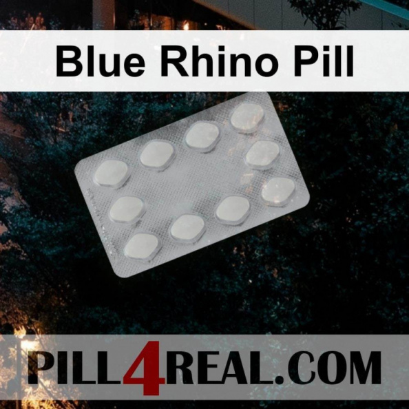 Blue Rhino Pill 433
