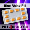 Blue Rhino Pill 504