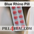 Blue Rhino Pill 537