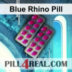 Blue Rhino Pill 774