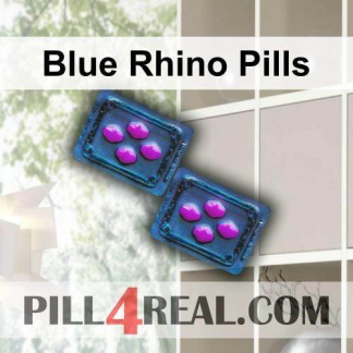 Blue Rhino Pills 336