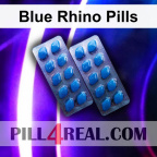 Blue Rhino Pills 763
