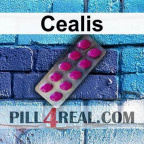 Cealis 771