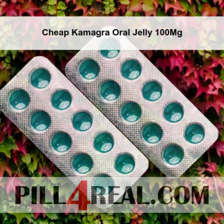 Cheap Kamagra Oral Jelly 100Mg 209