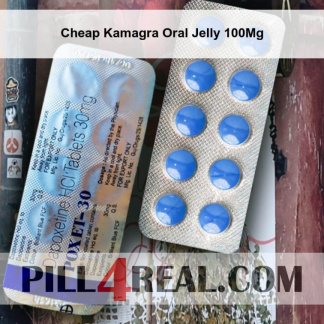 Cheap Kamagra Oral Jelly 100Mg 293