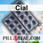 Cial 049