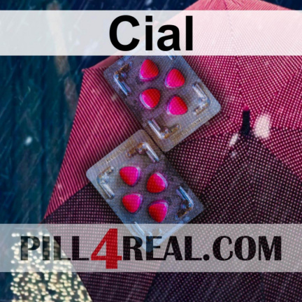Cial 139