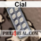Cial 190