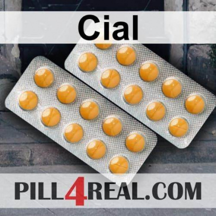 Cial 328