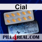 Cial 417