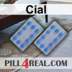 Cial 513