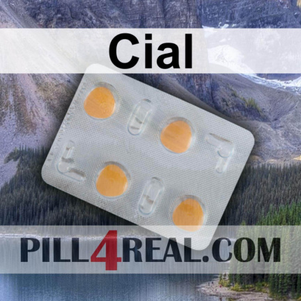 Cial 577