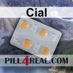 Cial 577