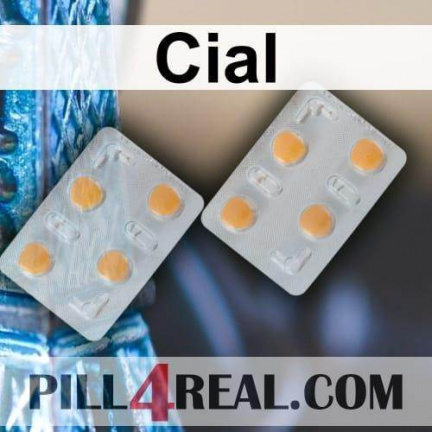 Cial 625