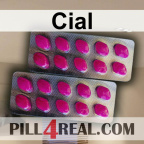 Cial 634