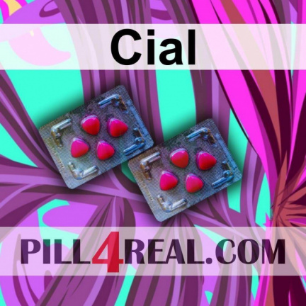 Cial 682