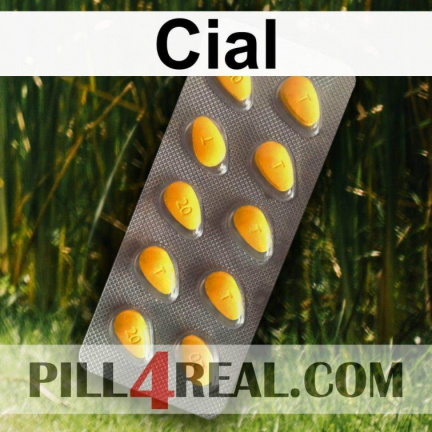 Cial 790