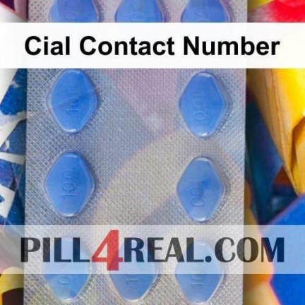 Cial Contact Number 305