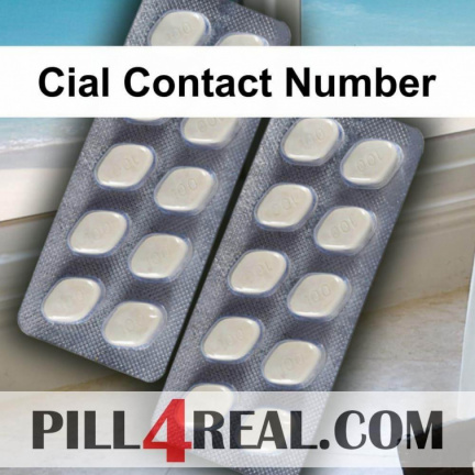 Cial Contact Number 349