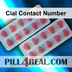 Cial Contact Number 419