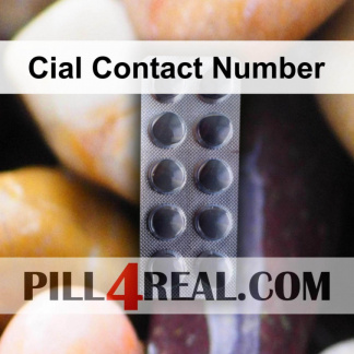Cial Contact Number 549