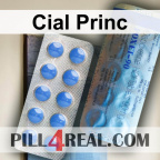 Cial Princ 009