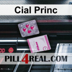 Cial Princ 040