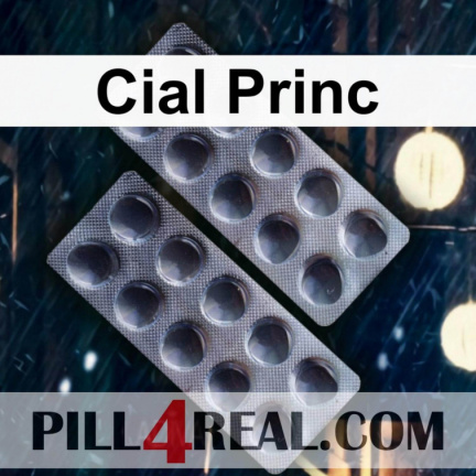 Cial Princ 105