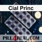 Cial Princ 105