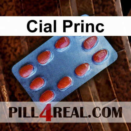 Cial Princ 163