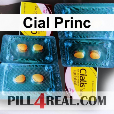 Cial Princ 166