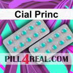 Cial Princ 187