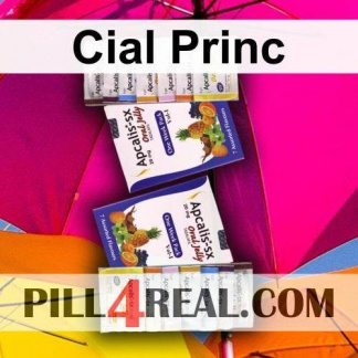 Cial Princ 215