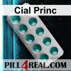 Cial Princ 296