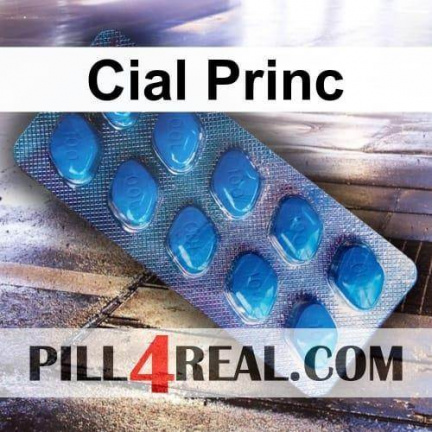 Cial Princ 340