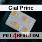 Cial Princ 360