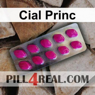 Cial Princ 440