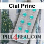 Cial Princ 513
