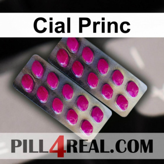 Cial Princ 560